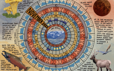 Create a Phenology Wheel