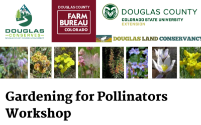 Gardening for Pollinators Workshop