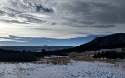 Windswept Fields of White