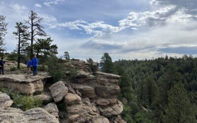 DLC plays key role in new Castle Rock open space