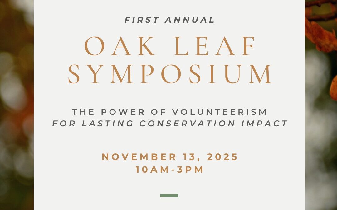 A New Chapter for Oak Leaf