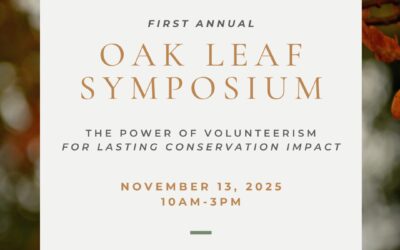 A New Chapter for Oak Leaf