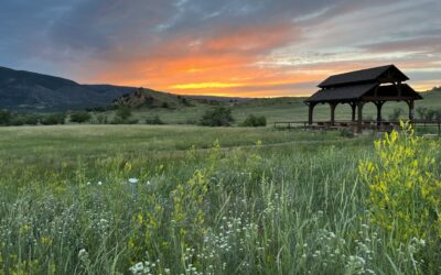 DLC’s Conservation Opportunity Fund Receives Historic $100,000 Grant