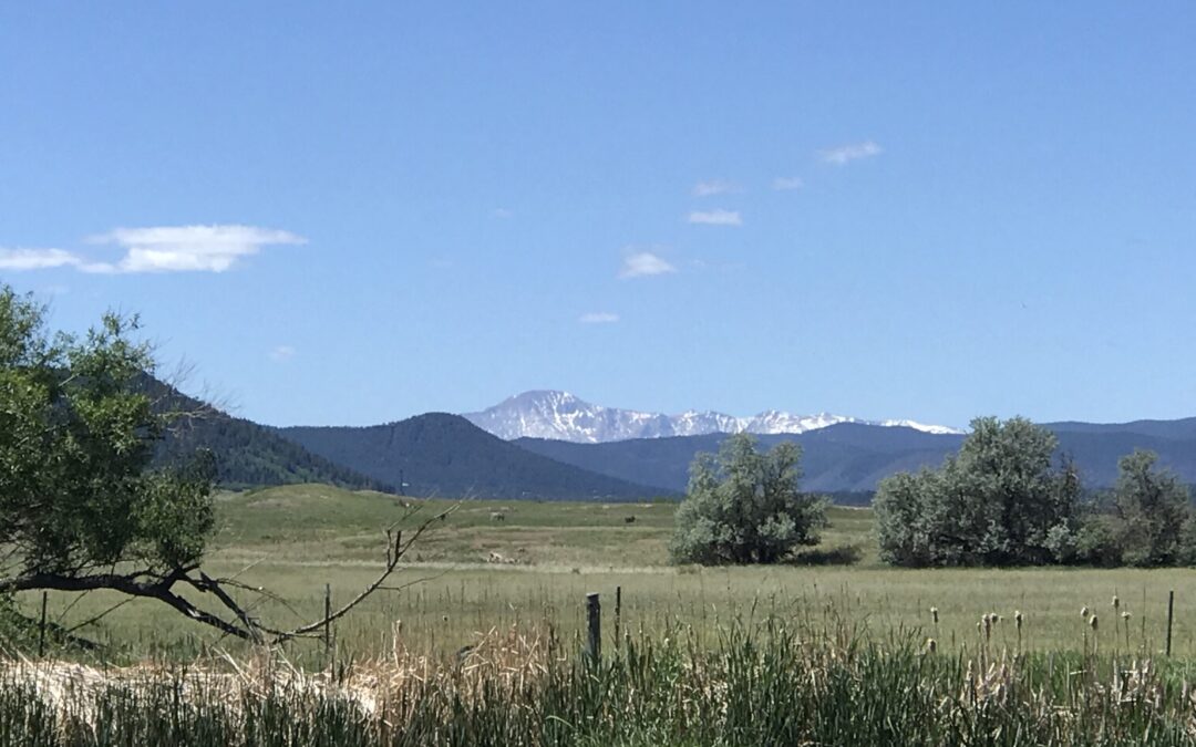 Hike & Paint- Peaks and Ranges