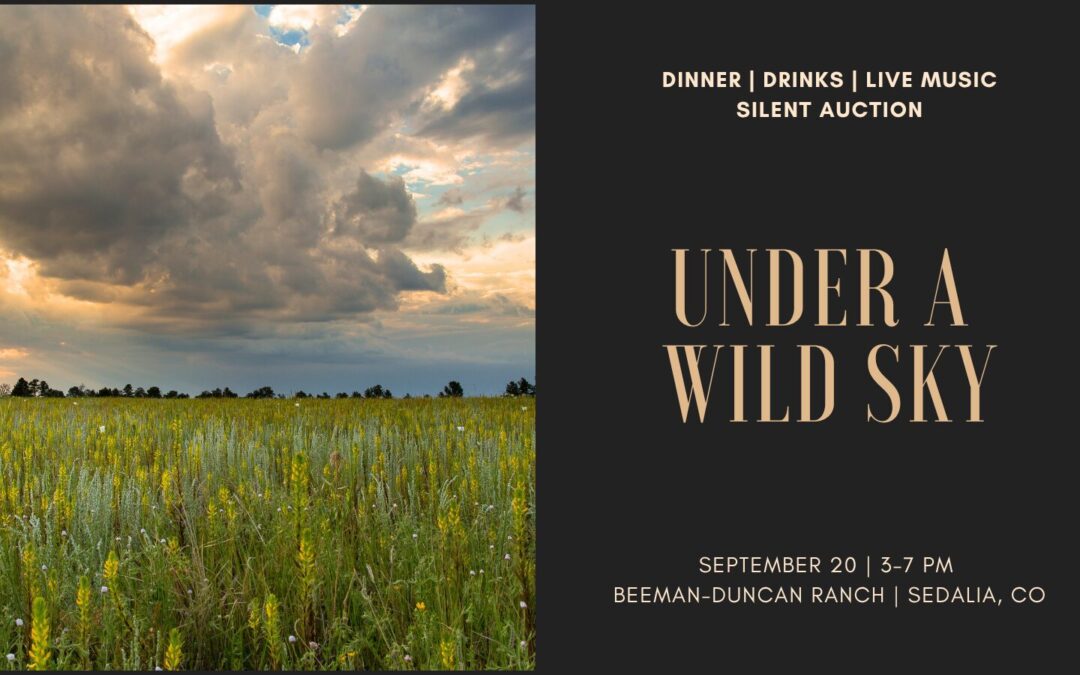 The Event of the Year: Under a Wild Sky