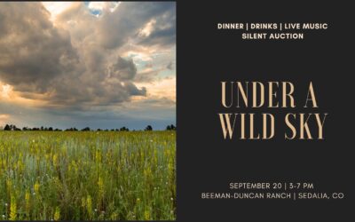 The Event of the Year: Under a Wild Sky