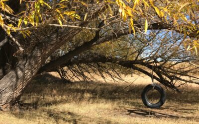 International Day of Forests