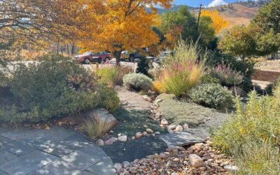 Pesky Pests In Your Yard and Garden? Control Them Safely