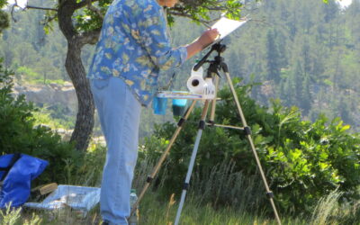 Plein Air 101