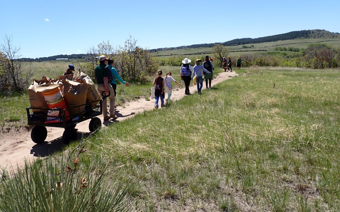 Girl Scouts Stewardship Workday with DLC and Douglas County