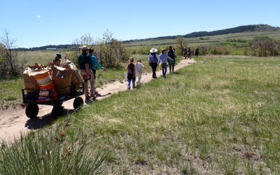 Girl Scouts Stewardship Workday with DLC and Douglas County