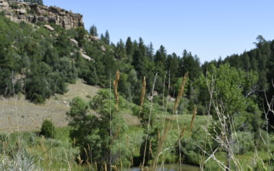 Lost Canyon Ranch Opens to the Public