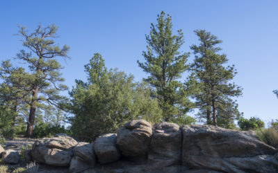 Lost Canyon Ranch and DLC’s role in the new open space