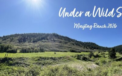 Get your tickets now for Under a Wild Sky!