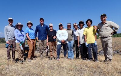 DLC’s First Volunteer Stewardship Workday