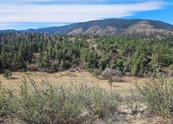 Douglas Land Conservancy Conserves 105 Acres in Western Douglas County