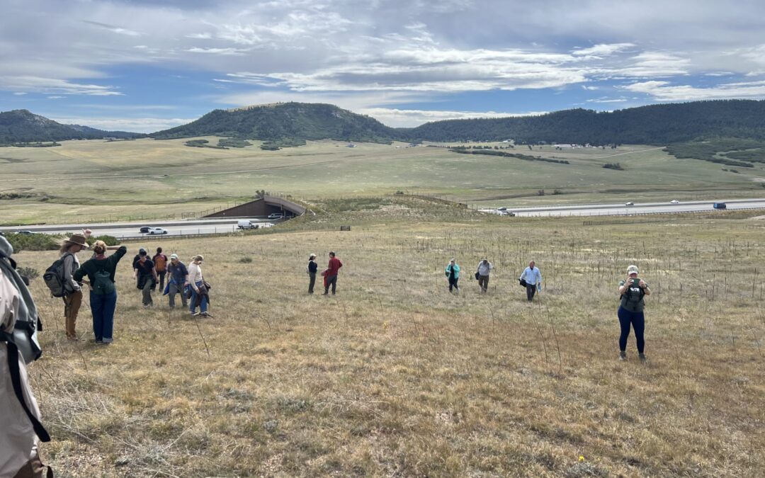 Rally 2026: A Trip to the Largest Wildlife Overpass in North America